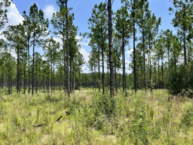 Beach Acreage For Sale in Milton, Florida