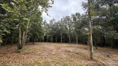 Beach Lot For Sale in Bagdad, Florida