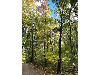 Beach Lot For Sale in West Olive, Michigan