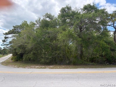 Beach Acreage For Sale in Crystal River, Florida