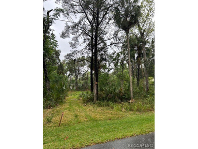 Beach Lot For Sale in Homosassa, Florida