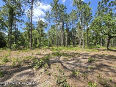 Beach Lot For Sale in Weeki Wachee, Florida