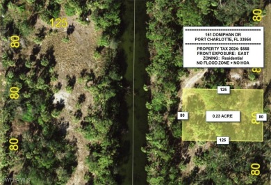 Beach Lot For Sale in Port Charlotte, Florida