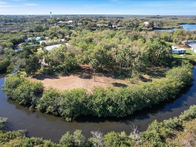 Beach Lot For Sale in Crystal River, Florida