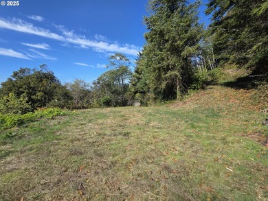 Beach Lot For Sale in Gold Beach, Oregon