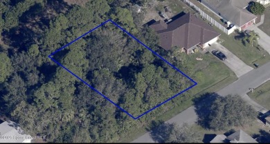 Beach Lot For Sale in Palm Bay, Florida