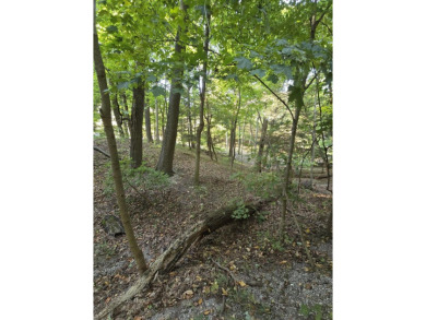 Beach Lot For Sale in Holland, Michigan