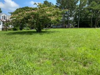 Beach Lot Off Market in Painter, Virginia