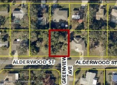 Beach Lot For Sale in Spring Hill, Florida