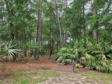 Beach Lot For Sale in Beaufort, South Carolina