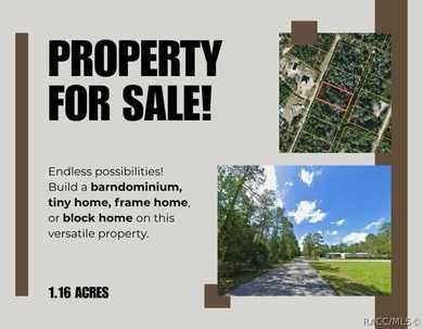 Beach Lot For Sale in Crystal River, Florida