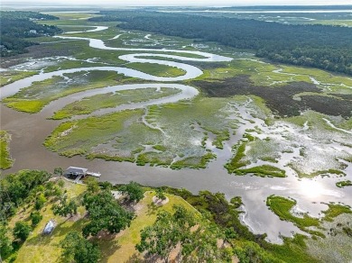 Beach Acreage For Sale in Saint Simons, Georgia