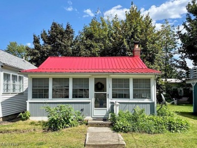 Beach Home For Sale in Ashtabula, Ohio