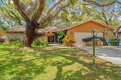 Beach Home Sale Pending in Spring Hill, Florida