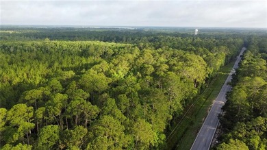 Beach Acreage For Sale in Townsend, Georgia