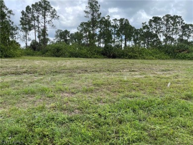 Beach Lot For Sale in Cape Coral, Florida