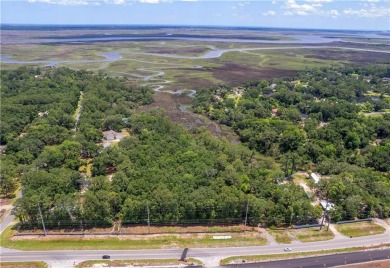 Beach Acreage For Sale in Brunswick, Georgia