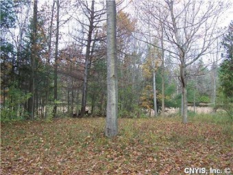 Beach Lot For Sale in Lyme, New York