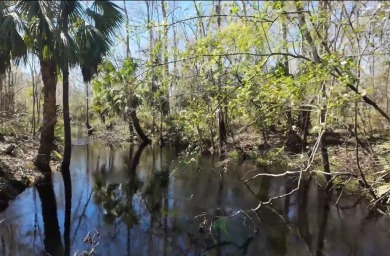 Beach Lot For Sale in Perry, Florida