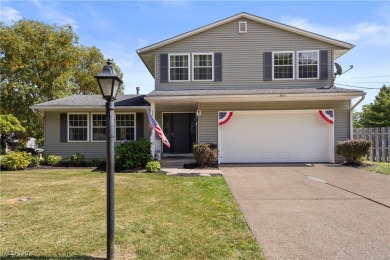 Beach Home For Sale in Vermilion, Ohio