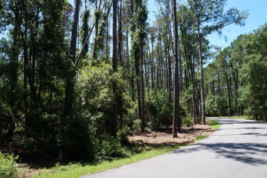 Beach Lot For Sale in Saint Helena Island, South Carolina