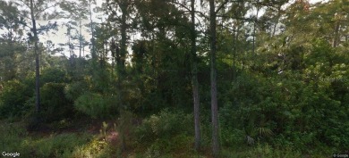 Beach Lot For Sale in Lehigh Acres, Florida