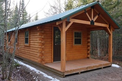 Beach Acreage For Sale in Brimley, Michigan