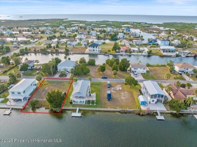 Beach Lot For Sale in Hernando Beach, Florida