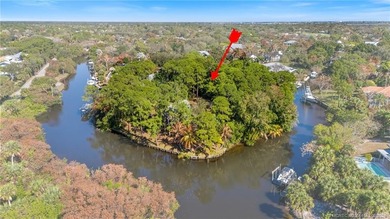Beach Lot For Sale in Palm City, Florida