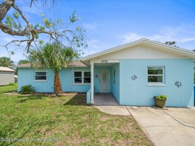 Beach Home For Sale in Hernando Beach, Florida