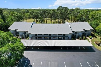 Beach Condo Sale Pending in Homosassa, Florida