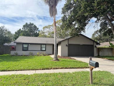 Beach Home For Sale in Palm Harbor, Florida