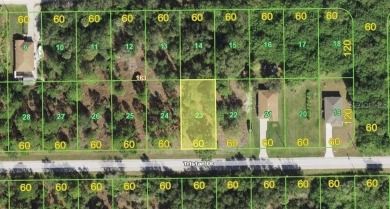 Beach Lot For Sale in Punta Gorda, Florida