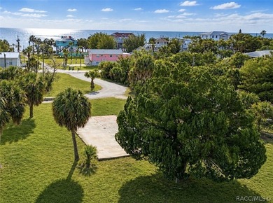 Beach Lot For Sale in Weeki Wachee, Florida