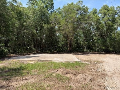 Beach Acreage For Sale in Homosassa, Florida