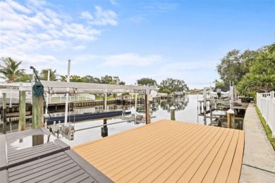 Beach Home For Sale in St. Petersburg, Florida