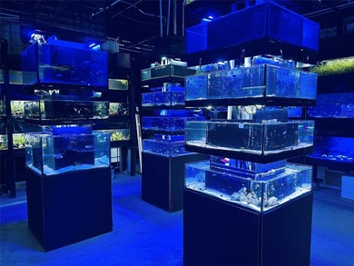 Beach Commercial For Sale in Vero Beach, Florida