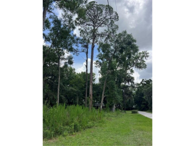 Beach Lot For Sale in Saint Marys, Georgia