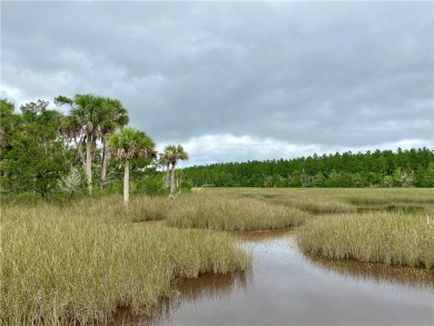 Beach Acreage For Sale in Brunswick, Georgia