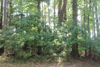 Beach Lot Off Market in Greenbackville, Virginia