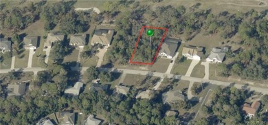 Beach Lot For Sale in Homosassa, Florida