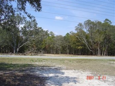 Beach Acreage For Sale in Supply, North Carolina