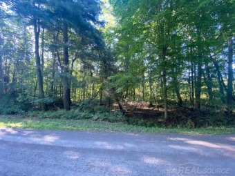 Beach Lot Off Market in Harbor Beach, Michigan