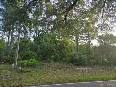 Beach Lot Sale Pending in Homosassa, Florida