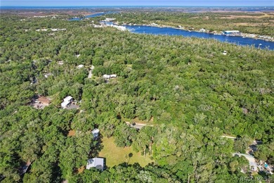 Beach Commercial For Sale in Homosassa, Florida