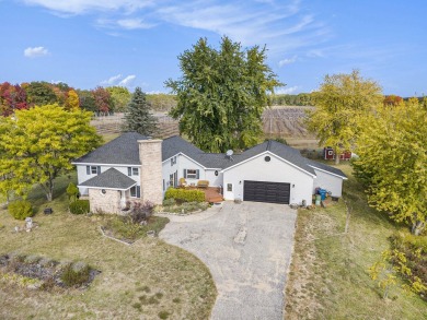 Beach Home For Sale in Free Soil, Michigan