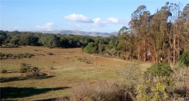 Beach Acreage Off Market in Nipomo, California