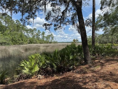 Beach Lot For Sale in Waverly, Georgia