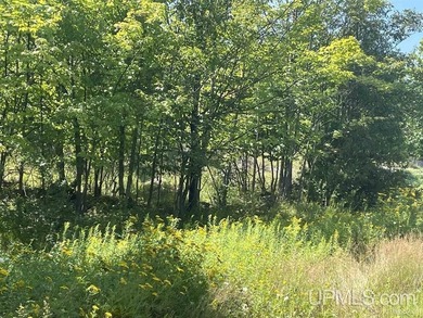 Beach Acreage For Sale in Marquette, Michigan