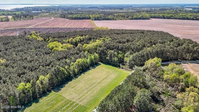 Beach Lot For Sale in Belhaven, North Carolina